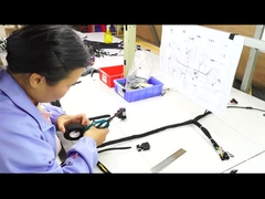 Aangepaste Bedradingsuitrusting